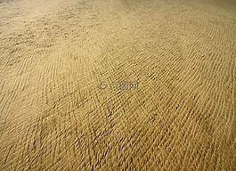 沙,假期,海岸