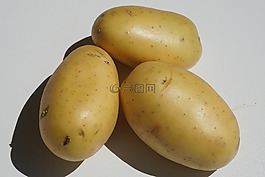 土豆,蔬菜,食品