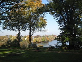 秋季,樹木,babelsberg