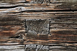 紋理,木紋,風(fēng)化