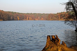 秋季,樹木,schlachtensee