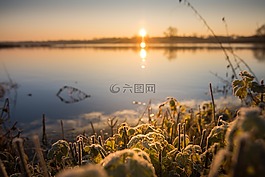 日出,河,心情