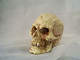 骷髏和交叉骨,裝飾用品,蠟燭