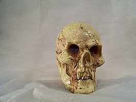 骷髏和交叉骨,裝飾用品,蠟燭