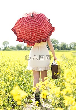 路徑,場,國家