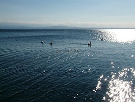 湖,博登湖,水域