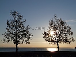 日落,樹木,水