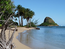 夏威夷,海灘,海岸