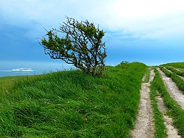 離,路徑,徒步旅行