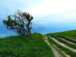 離,路徑,徒步旅行