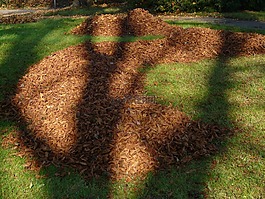 葉子,葉樁,公園
