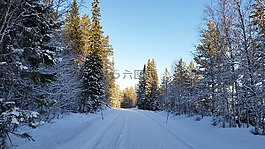冬季,冬天風景,雪