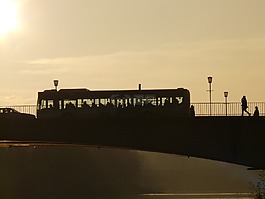 橋,人類,簡(jiǎn)介