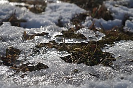 冰,雪,冬季