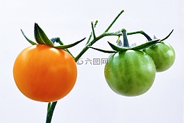 水果,蕃茄,食品