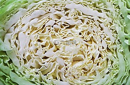 卷心菜,中國,蔬菜