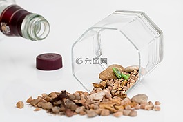 干旱,干,沙漠