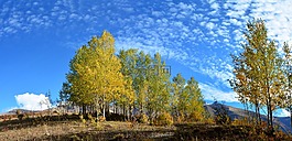 土耳其,秋,季節(jié)
