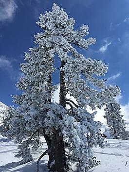 山,雪,冬天