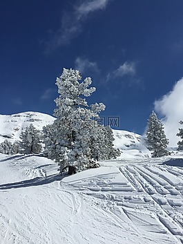 山,雪,冬天