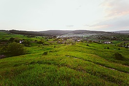 村,綠色,景觀
