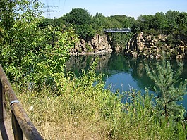 湖,景觀,池塘