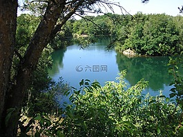 湖,景觀,池塘