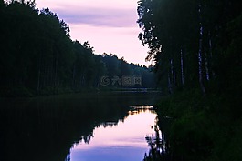 森林,河,俄羅斯