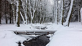 雪,白,冬天風景