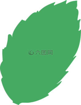 叶,树,绿色废物