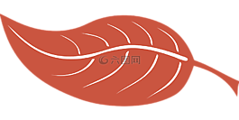 叶,树,绿色废物
