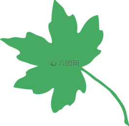 叶,树,绿色废物