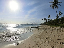 海灘,海,熱