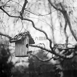 鳥的房子,黑色和白色,單色