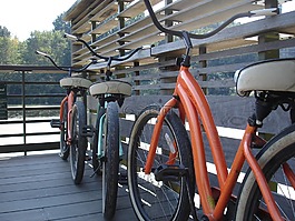 自行車,循環(huán),停泊