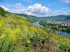 的zeltingen,mosel,萨克森