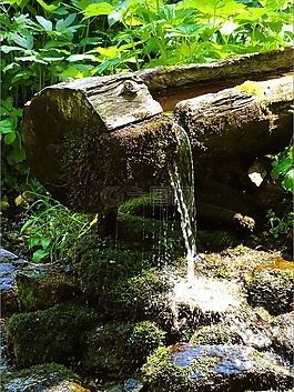 噴泉,水,木