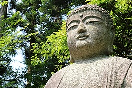 雕像,佛,宗教