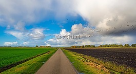 秋,秋天,天空