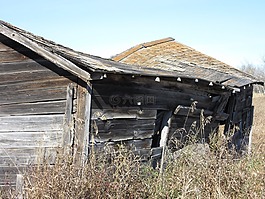 艾伯塔省,谷仓板,纹理