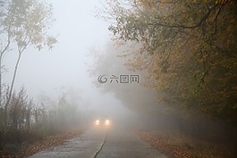 霧,秋,車