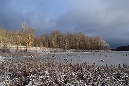 雪,日出,湖