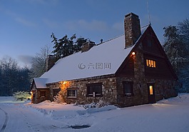 雪,日出,樹