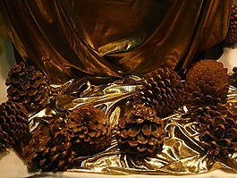 松球果,裝飾,圣誕節(jié)
