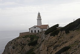 燈塔,加那利群島,la 爬行動物