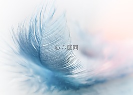 春天,緩解,略
