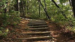 山,山径,楼梯