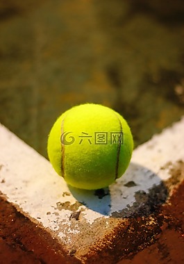 網(wǎng)球,球,運動