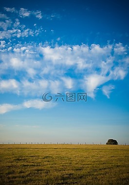 字段,天空,云