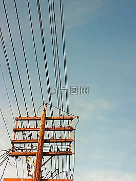 鸟,电线,天空
